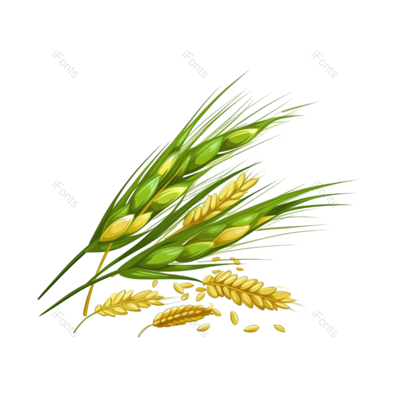 装饰图片,芒种元素,元素PNG,小满免抠素材